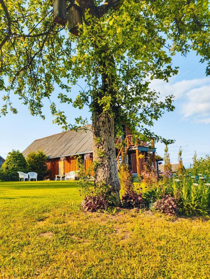 Zalioji Villa Padustis Luaran gambar