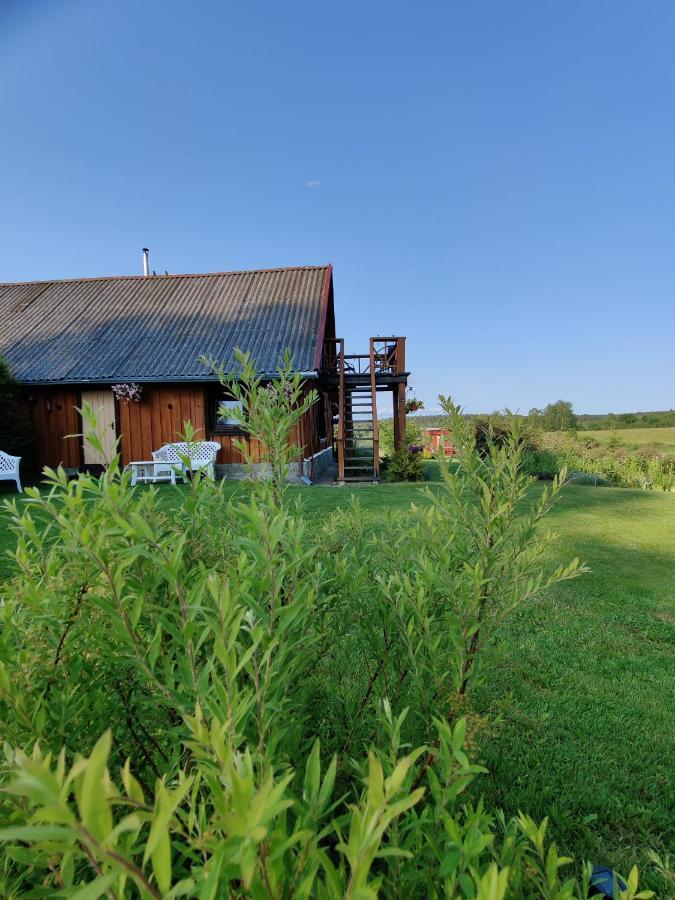 Zalioji Villa Padustis Luaran gambar