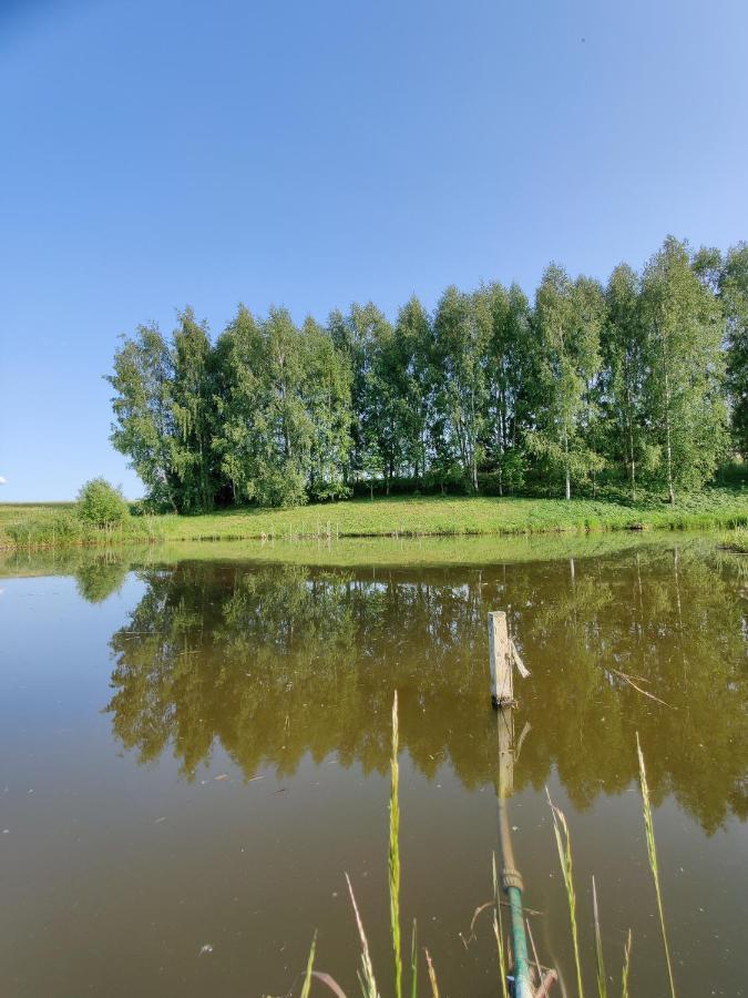 Zalioji Villa Padustis Luaran gambar