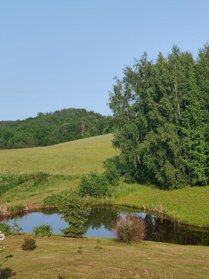 Zalioji Villa Padustis Luaran gambar