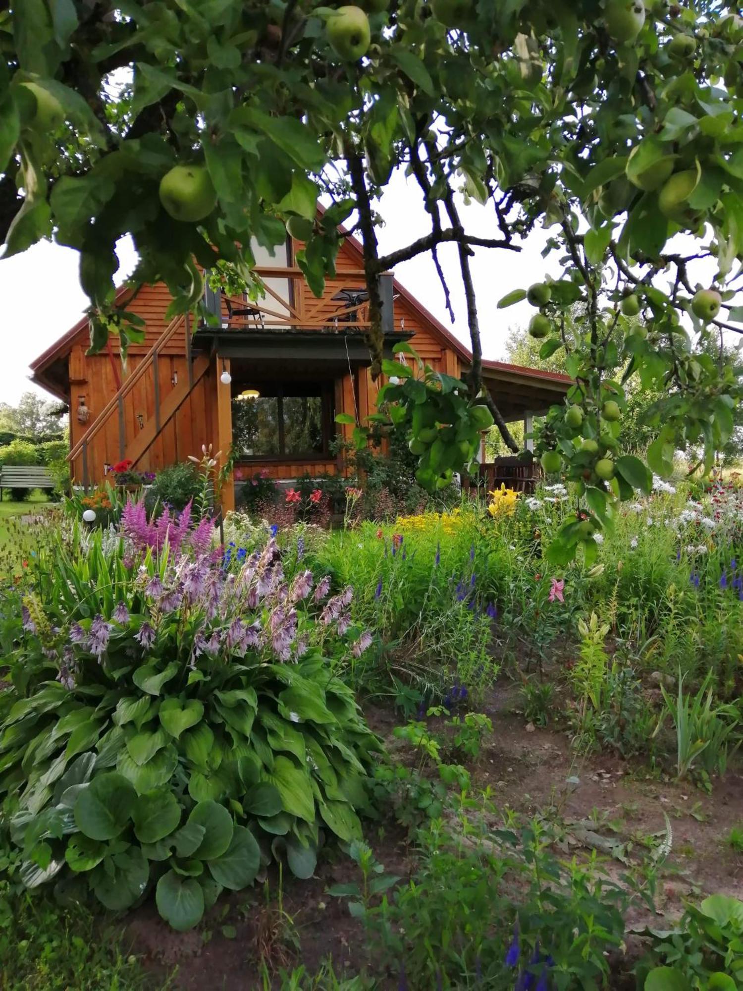 Zalioji Villa Padustis Bilik gambar